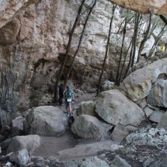IMG_6068