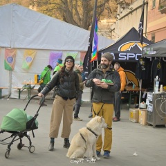 senza titolo-2342-2