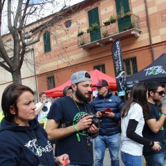 img_ (233)